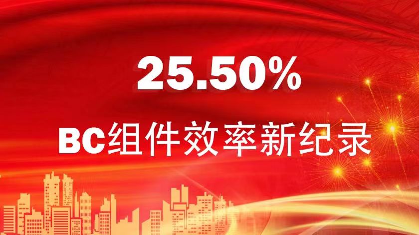 BC組件效率25.50%！金石能源混合型BC組件再創(chuàng)新紀(jì)錄
